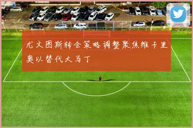 尤文图斯转会策略调整聚焦维卡里奥以替代大马丁